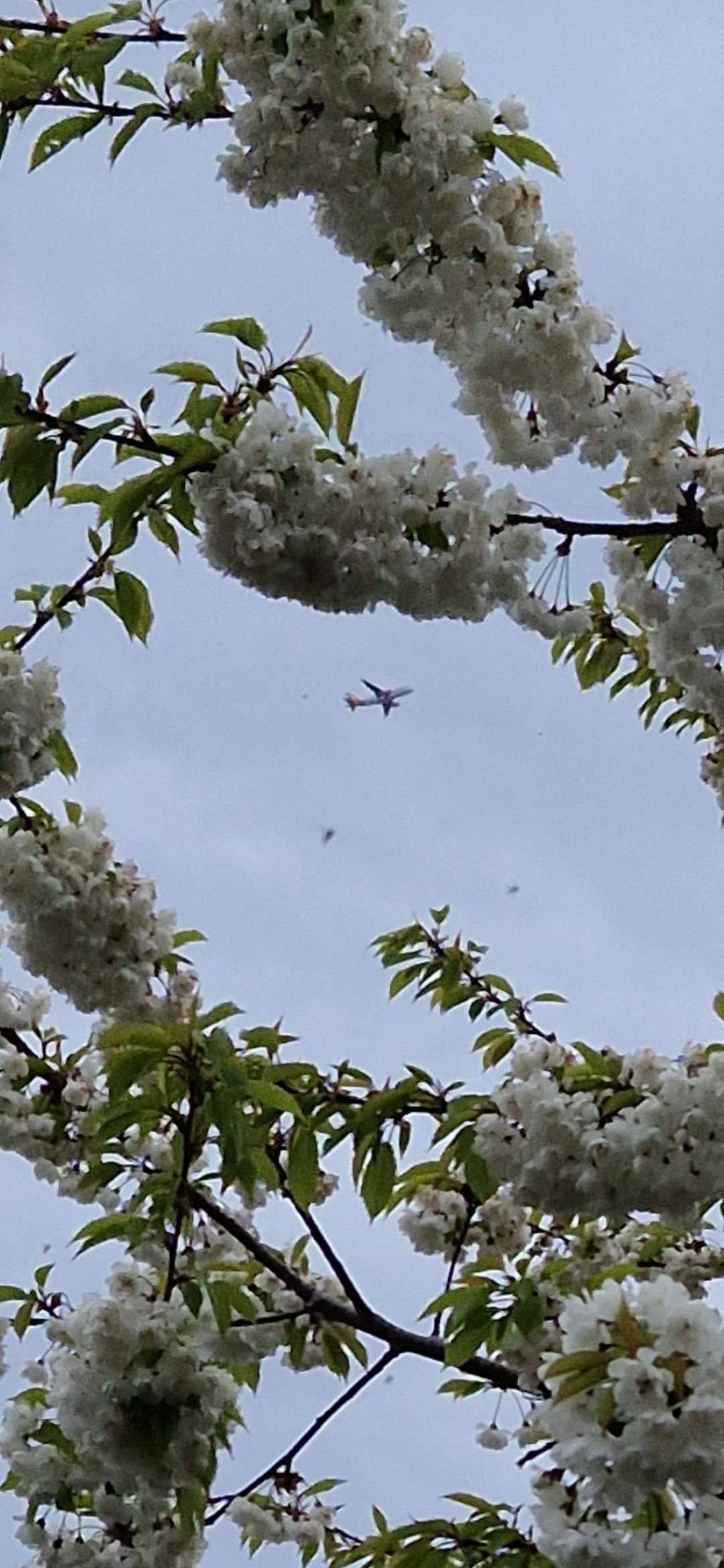 Flying over Inverness